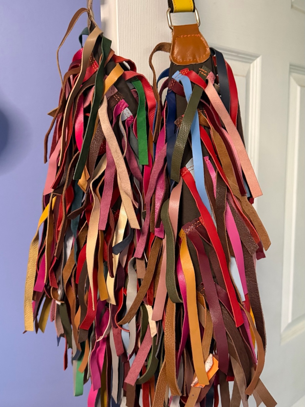 Source Unknown Multicolor Fringe Leather Hobo Bag